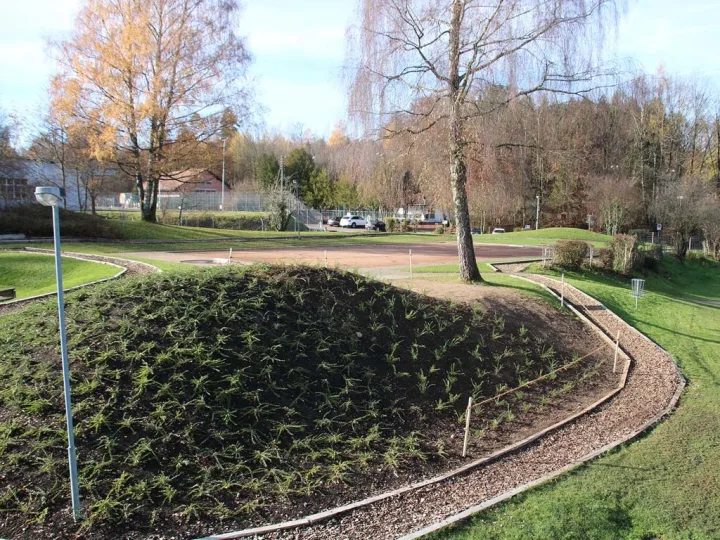 Finnenbahn